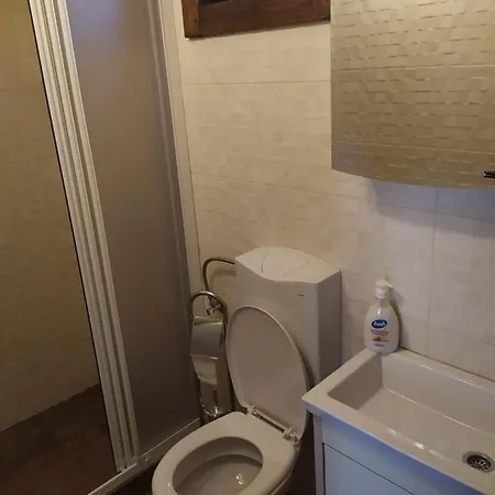 Brvnare Park Borova Chalet