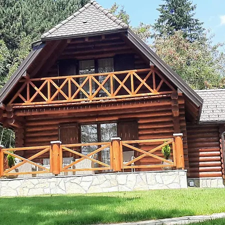 Brvnare Park Borova