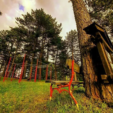 Brvnare Park Borova *