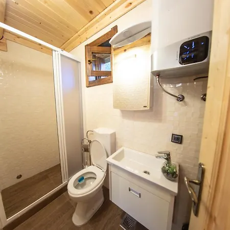 Brvnare Park Borova Chalet