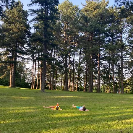 Brvnare Park Borova * Zlatibor